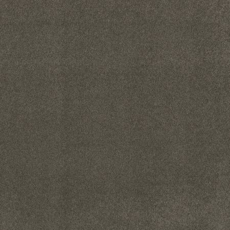 Shaw Floors SFA My Inspiration III Graphite