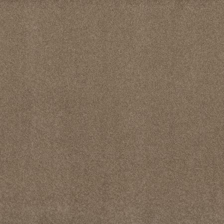 Shaw Floors FOUNDATIONS Keen Senses Ii Grounded