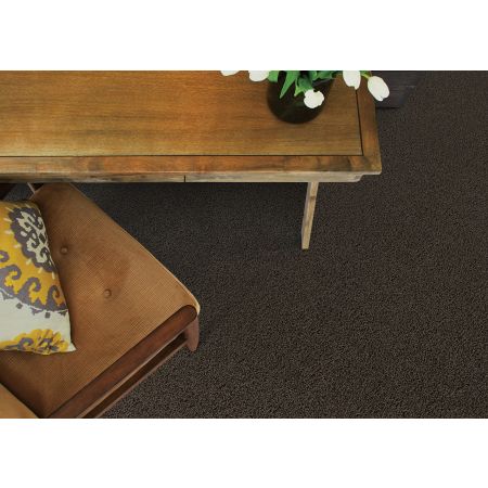 Shaw Floors SFA My Inspiration III Chocolate