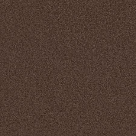 Shaw Floors SFA Loyal Beauty III Plum Delight