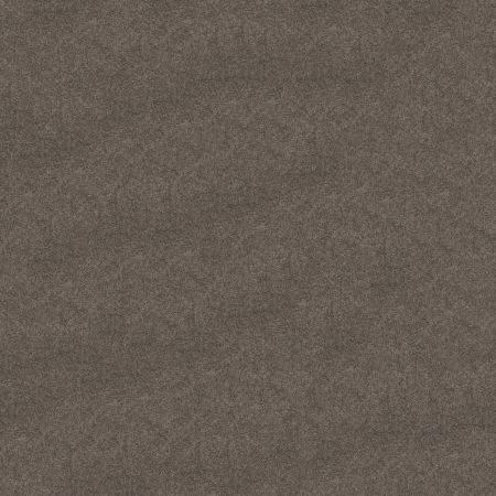 Shaw Floors SFA My Inspiration III Sepia