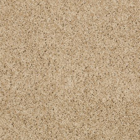 Shaw Floors ST JUDE Butterfly Kisses 1 High Wind