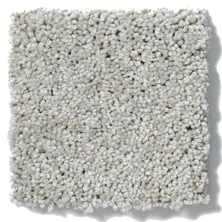 Shaw Floors SHAW FLOORING GALLERY Grand Image I Sheer Silver