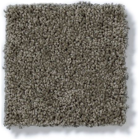 Shaw Floors SHAW FLOORING GALLERY Grand Image I Grey Flannel