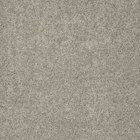 Shaw Floors SFA My Inspiration I Rocky Coast