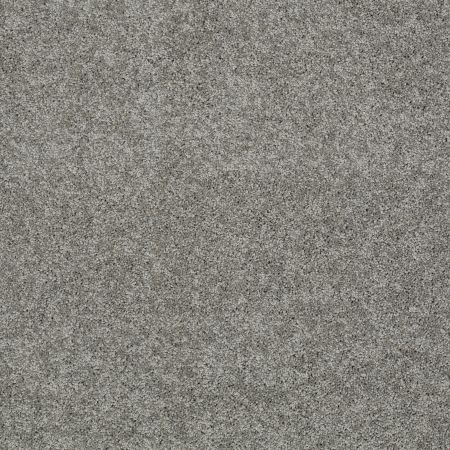 Shaw Floors SFA My Inspiration I Fog