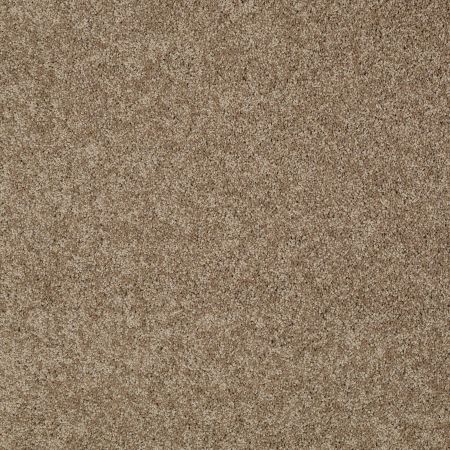 Shaw Floors SFA My Inspiration I Saffron