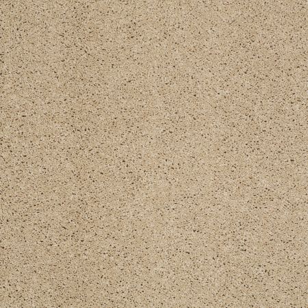 Shaw Floors SHAW FLOORING GALLERY Grand Image Ii Beach Walk