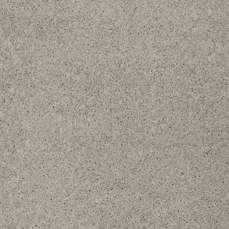 Shaw Floors FOUNDATIONS Keen Senses I Mindful