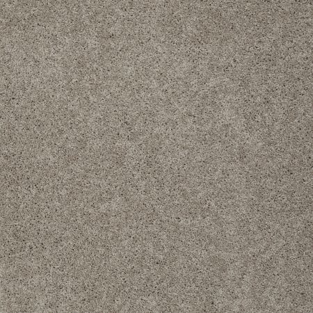 Shaw Floors FOUNDATIONS Keen Senses I Espresso