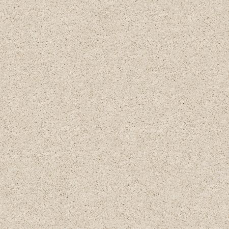 Shaw Floors FOUNDATIONS Keen Senses I Alabaster