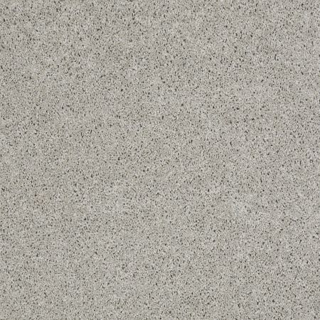 Shaw Floors SHAW FLOORING GALLERY Grand Image Ii Sheer Silver