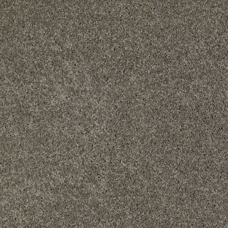 Shaw Floors SHAW FLOORING GALLERY Grand Image Ii Grey Flannel