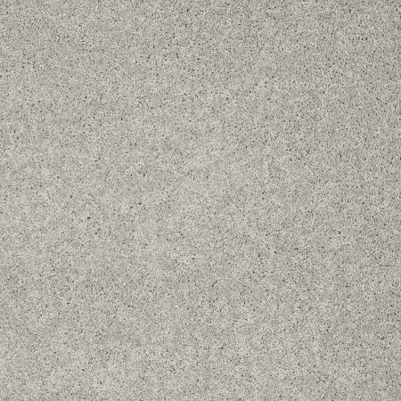 Shaw Floors FOUNDATIONS Keen Senses I Lady In Gray