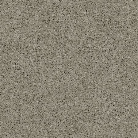 Shaw Floors FOUNDATIONS Keen Senses I Slate