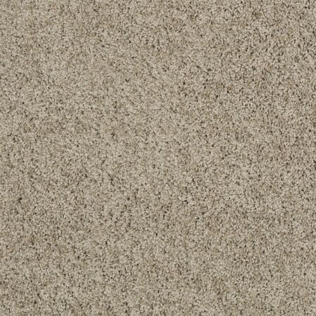 Shaw Floors Enduring Comfort Ii Smooth Slate