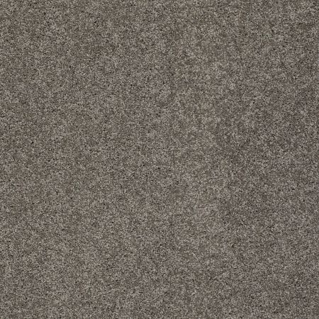 Shaw Floors SFA My Inspiration II Rustic Elegance