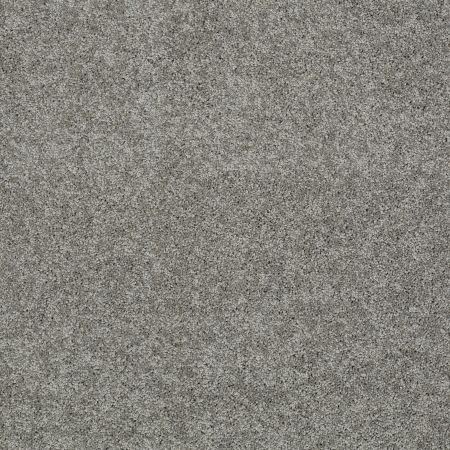 Shaw Floors SFA My Inspiration II Fog