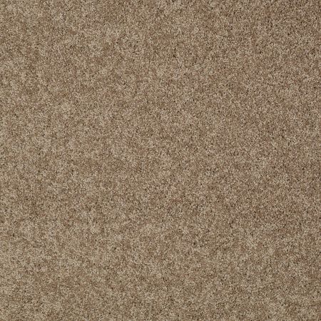 Shaw Floors SFA My Inspiration II Saffron