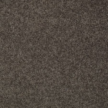Shaw Floors SFA My Inspiration II Chocolate