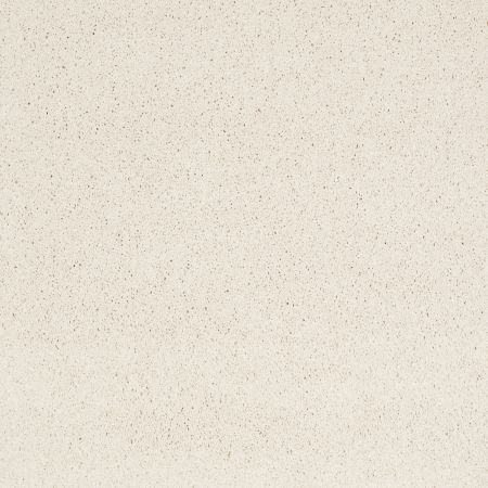 Anderson Tuftex CARESS BY SHAW Cashmere IV Icelandic