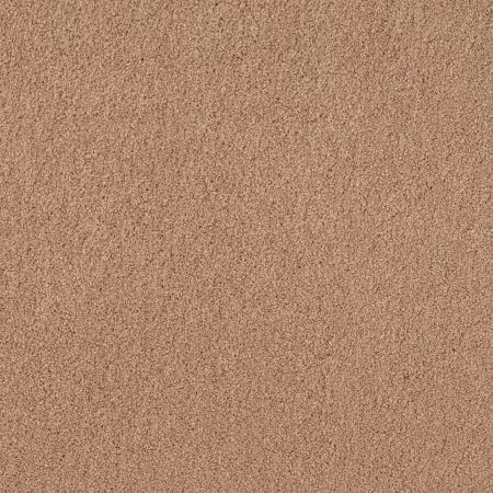 Anderson Tuftex CARESS BY SHAW Cashmere IV Maplewood North