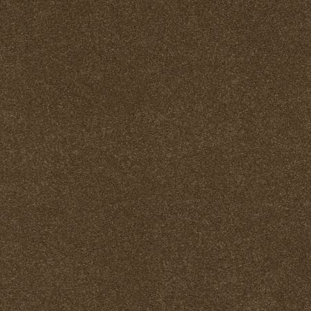 Anderson Tuftex CARESS BY SHAW Cashmere IV Bison