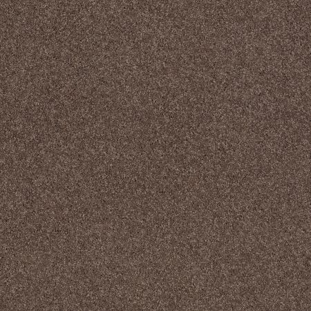 Anderson Tuftex Cashmere Classic IV Spring - Wood