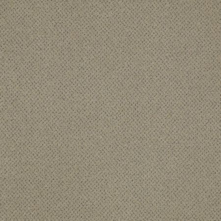 Philadelphia Commercial Future Generations Media