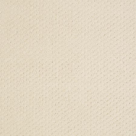 Shaw Floors SHAW FLOORING GALLERY Departure Winter White