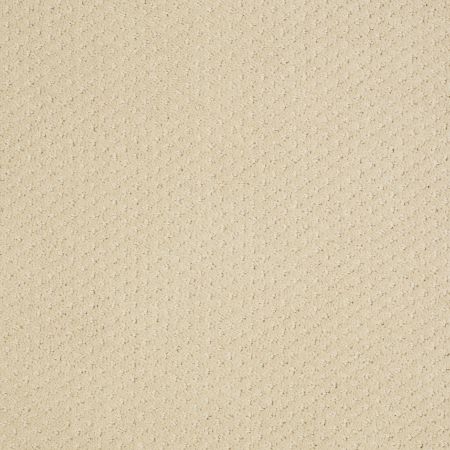 Shaw Floors SHAW FLOORING GALLERY Departure Linen