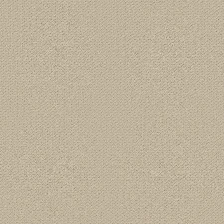 Shaw Floors FOUNDATIONS Infallible Instinct Sentimental