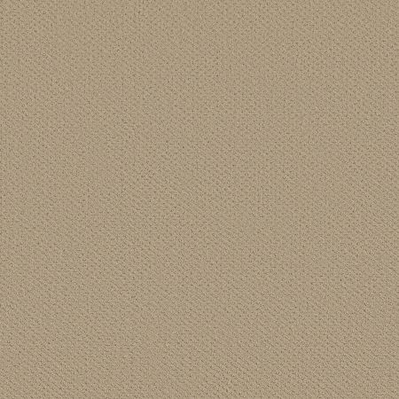 Shaw Floors FOUNDATIONS Infallible Instinct Boutique