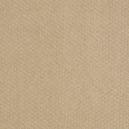 Shaw Floors SHAW FLOORING GALLERY Departure Fieldstone