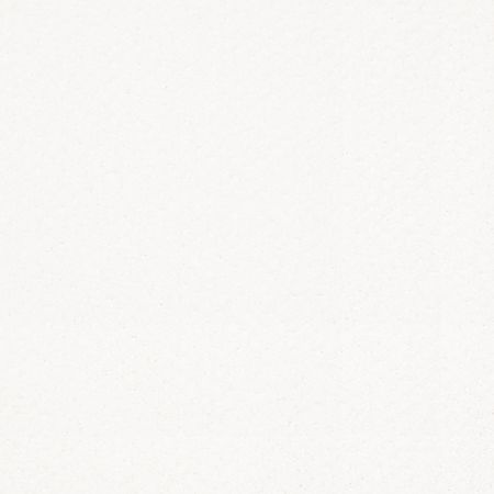 Shaw Floors FOUNDATIONS Infallible Instinct White Hot