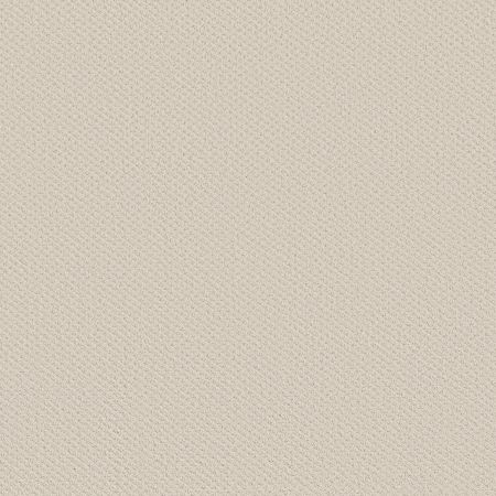 Shaw Floors FOUNDATIONS Infallible Instinct Crisp Linen