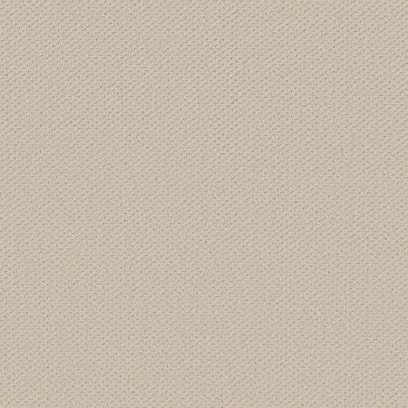 Shaw Floors FOUNDATIONS Infallible Instinct Alabaster