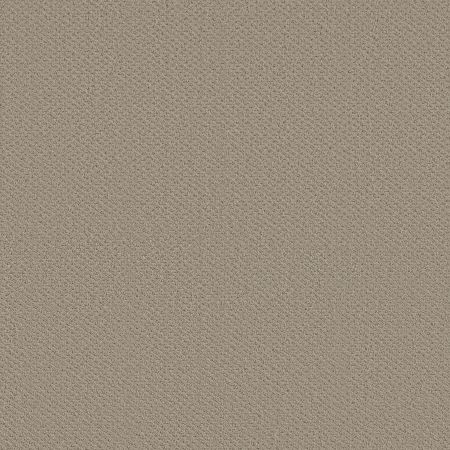 Shaw Floors FOUNDATIONS Infallible Instinct Studio Taupe