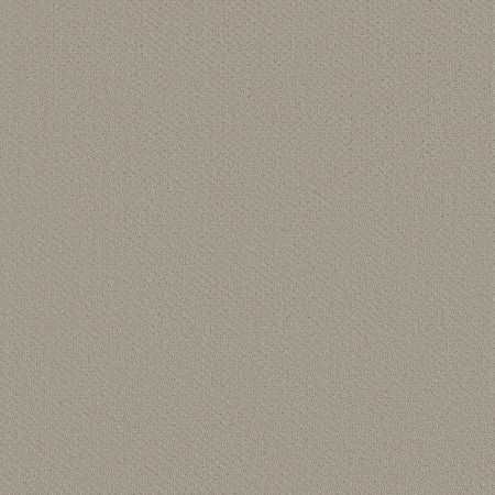 Shaw Floors FOUNDATIONS Infallible Instinct Quiet Moment