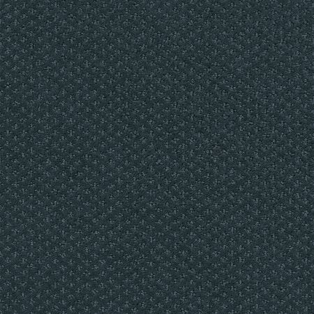 Shaw Floors FOUNDATIONS Infallible Instinct Moon Bay