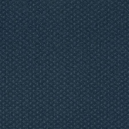 Shaw Floors FOUNDATIONS Infallible Instinct Modern Spaces