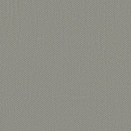 Shaw Floors FOUNDATIONS Infallible Instinct Offshore Mist