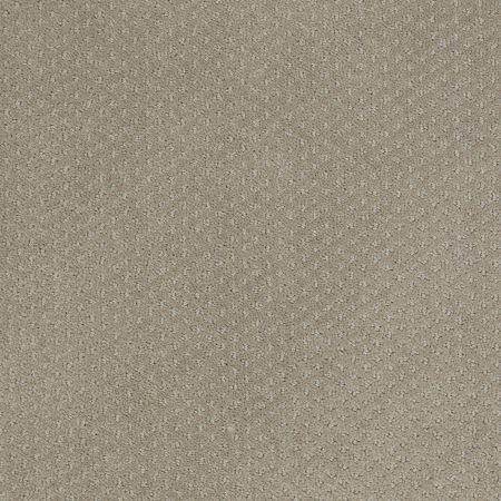 Shaw Floors SHAW FLOORING GALLERY Departure Gray Flannel