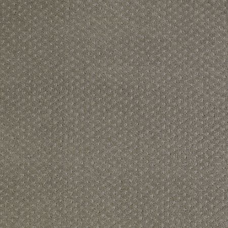 Shaw Floors SHAW FLOORING GALLERY Departure Pewter