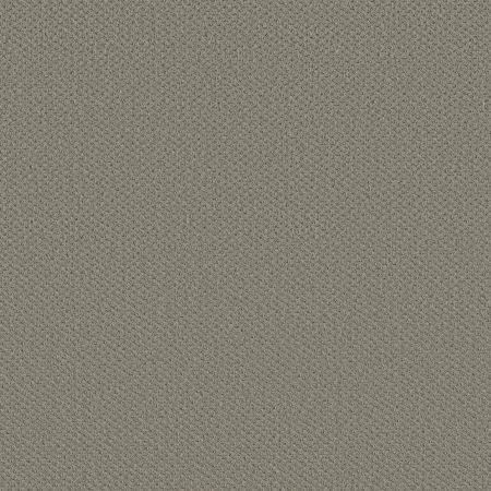 Shaw Floors FOUNDATIONS Infallible Instinct Silhouette