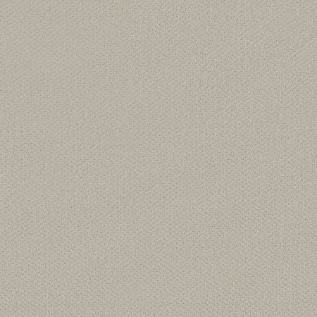 Shaw Floors FOUNDATIONS Infallible Instinct Rock Crystal