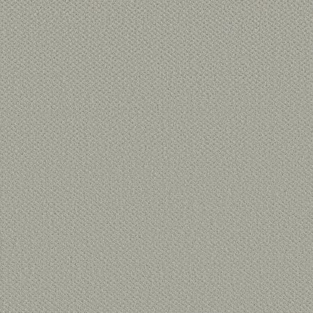 Shaw Floors FOUNDATIONS Infallible Instinct Etched Glass