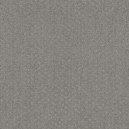 Shaw Floors FOUNDATIONS Infallible Instinct Metal