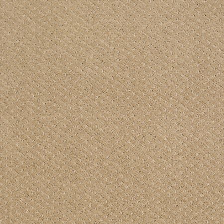 Shaw Floors SHAW FLOORING GALLERY Departure Natural Wood