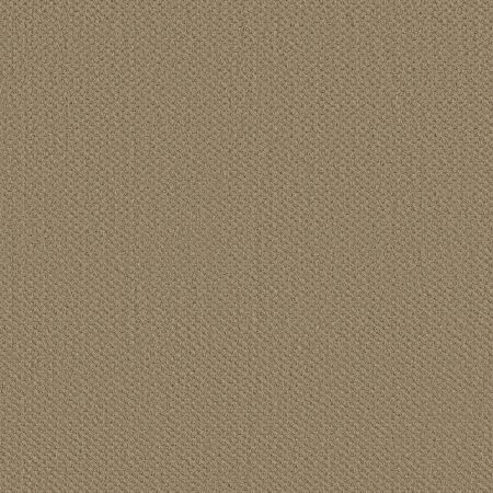 Shaw Floors FOUNDATIONS Infallible Instinct Biscotti